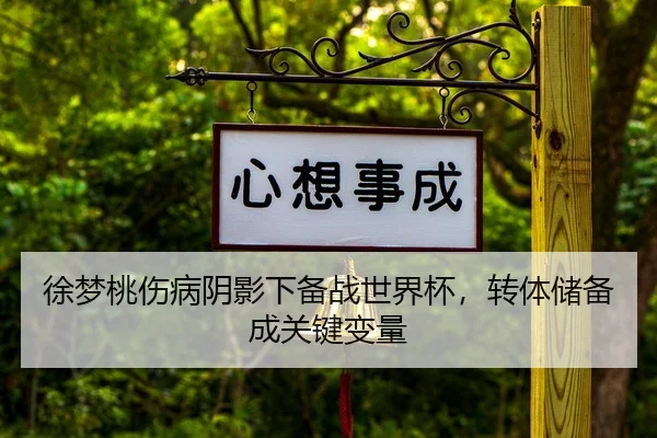 xu-meng-tao-shang-bing-yin-ying-xia-bei-zhan-shi-jie-bei-zhuan-ti-chu-bei-cheng-guan-jian-bian-liang-2-829.jpg
